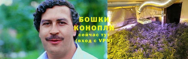 Альфа ПВП Верхний Тагил