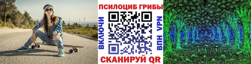 Галлюциногенные грибы ЛСД  omg tor  Новомичуринск 